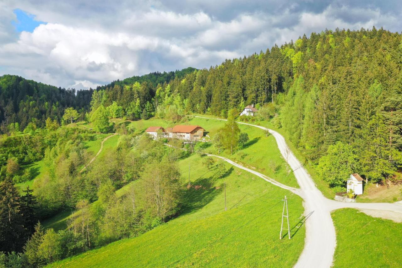 Villa Richterberg With Sauna & Hot Tub Slovenj Gradec Exterior foto